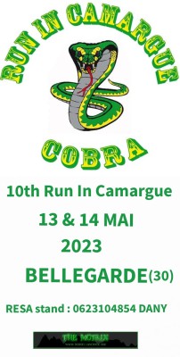 X RUN IN CAMARGUE.jpg