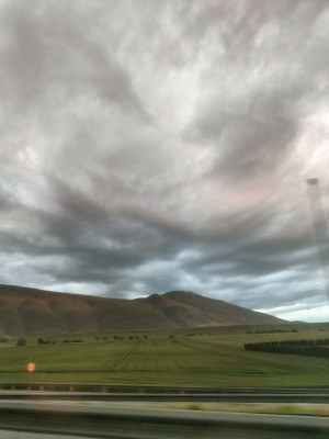 IMG20250510210914.jpg