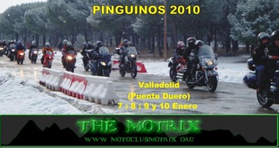 pinguinos 2010.jpg