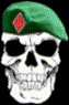 Avatar de Usuario