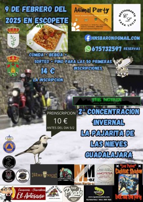 PAJARITA.jpg