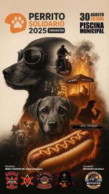 PERRITO SOLIDARIO 2025.jpg