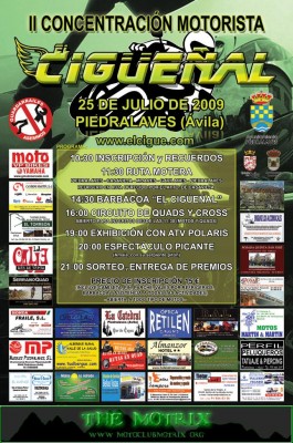 cigueñal  Motrix.JPG
