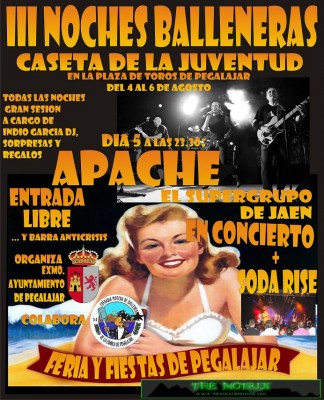 III NOCHES BALLENERAS.jpg