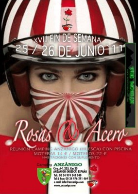 ROSAS DE ACERO.jpg
