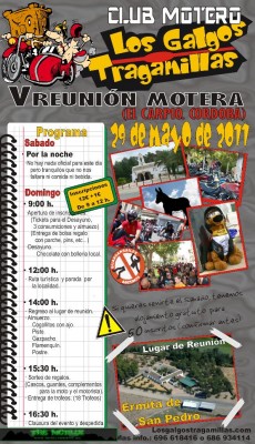 REUNION MOTERA GALGOS TRAGAMILLAS.jpg