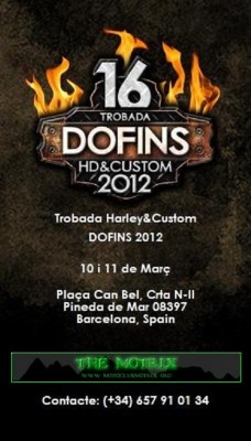 XVI TROBADA DOFINS 2012.jpg