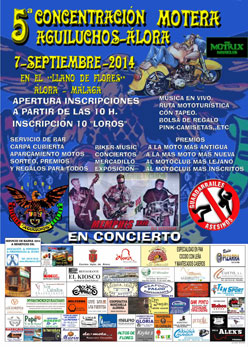 cartel-definitivo-v-concentracion-aguiluchos-web.jpg