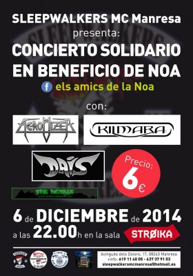 CONCIERTO SOLIDARIO EN BENEFICIO DE NOA.JPG