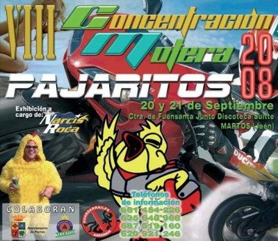 Pajaritos y Motrix.jpg