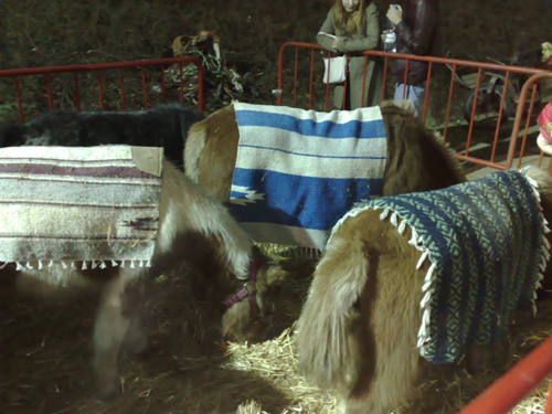 Feria