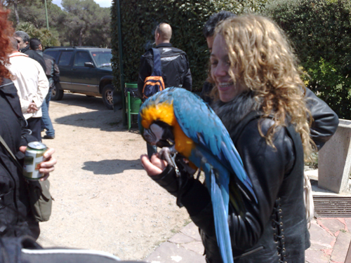 Co-piloto original