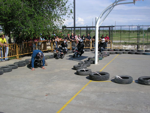 Pocket bikes