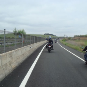 Ruta Domingo