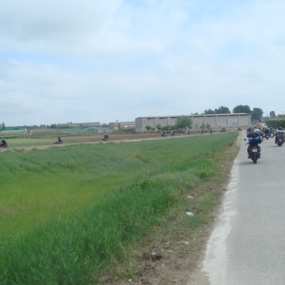 Ruta Domingo