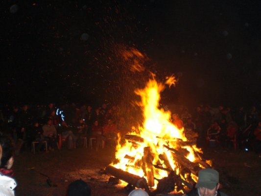 Zona Hoguera