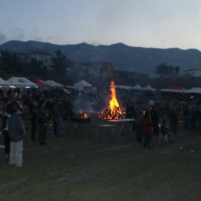Zona Hoguera