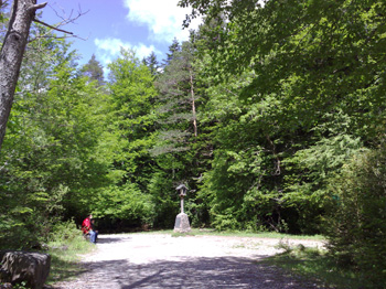 Un paseito por los caminos del valle de Ordesa